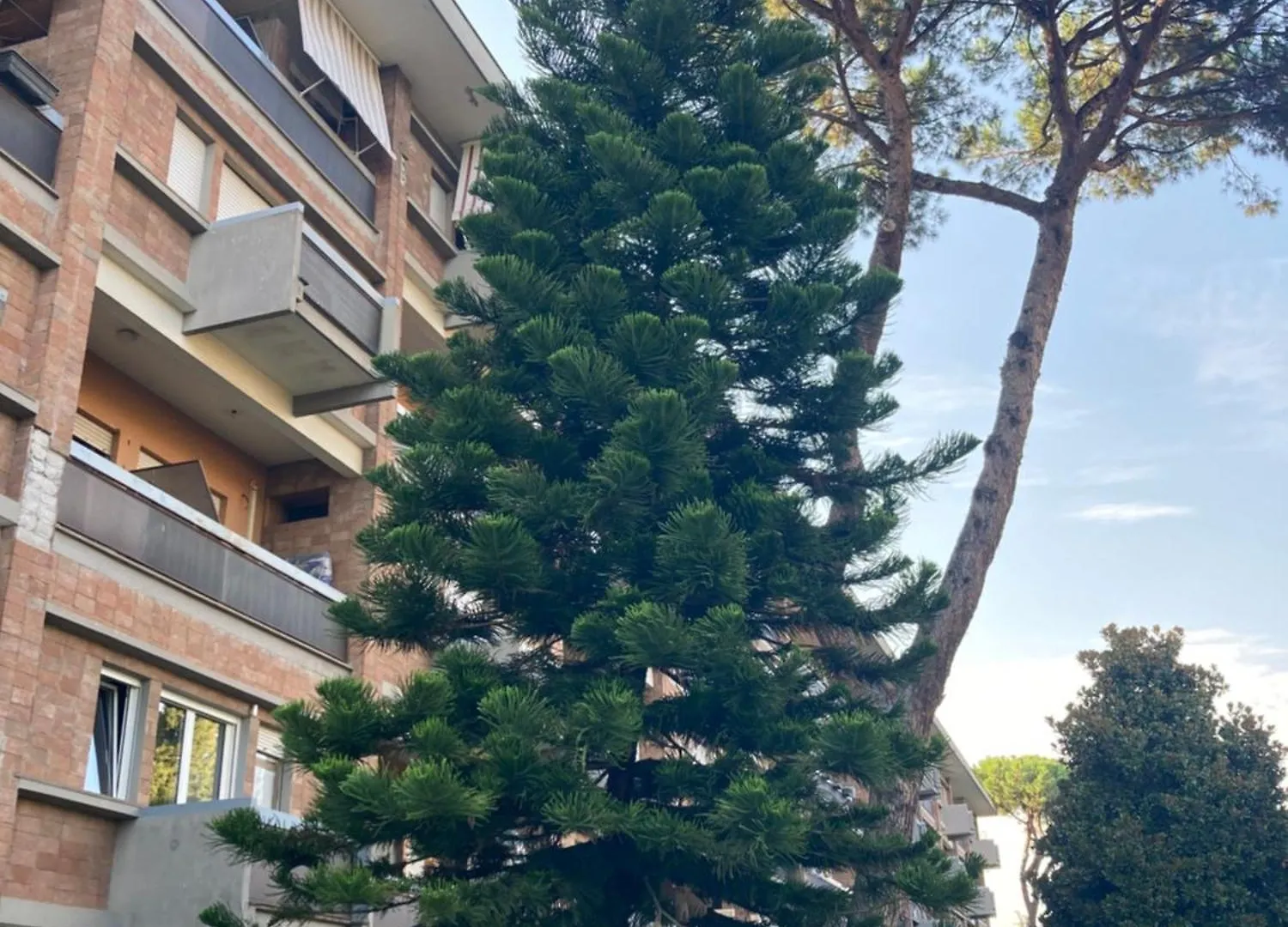 Terracito! Apartment Rome